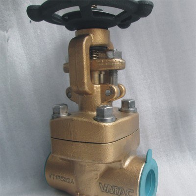 Forged Bronze Gate Valve